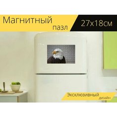 Магнитный пазл "Птица, добыча, хищник" на холодильник 27 x 18 см. Lots Prints