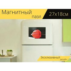 Магнитный пазл "Лампион цветок, физалис алкекенги, декоративное растение" на холодильник 27 x 18 см. Lots Prints