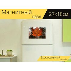Магнитный пазл "Клен, лист, рука" на холодильник 27 x 18 см. Lots Prints
