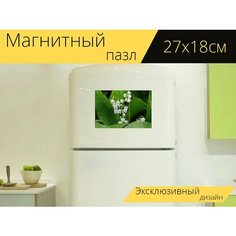 Магнитный пазл "Ландыш, цветок, весна" на холодильник 27 x 18 см. Lots Prints