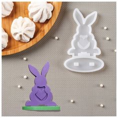 Молд "Заяц-конструктор", 12х8 см, цвет прозрачный Dreammart