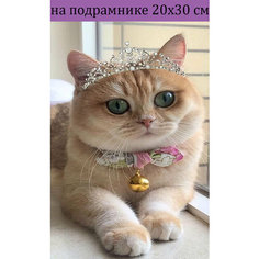 Алмазная мозаика на подрамнике 20х30 Кошка в короне, алмазная живопись 30х20, 30*20, Наборы с круглыми стразами полная выкладка Стиль для Дома