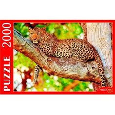 Пазл "Изящный леопард на дереве", 2000 элементов Рыжий кот