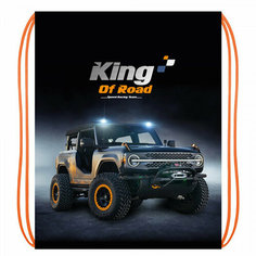 Сумка для сменной обуви 1 отделение (оникс) МО-20 King of road 330х420 мм