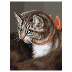 Картина по номерам на холсте ТРИ совы "Любимая кошка", 30*40, с акриловыми красками и кистями (арт. 358725)