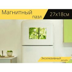 Магнитный пазл "Зеленый, бамбук, дзен" на холодильник 27 x 18 см. Lots Prints