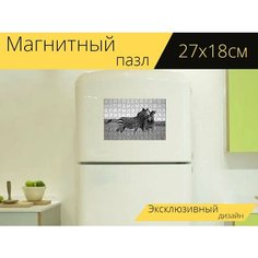 Магнитный пазл "Зебра, африка, сафари" на холодильник 27 x 18 см. Lots Prints