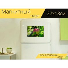 Магнитный пазл "Яблоко, фрукты, дерево" на холодильник 27 x 18 см. Lots Prints