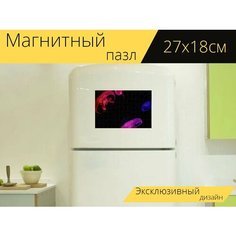 Магнитный пазл "Медуза, желе рыбы, аквариум" на холодильник 27 x 18 см. Lots Prints