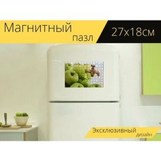 Магнитный пазл "Яблочный сок, милая, фруктовый сок" на холодильник 27 x 18 см. Lots Prints