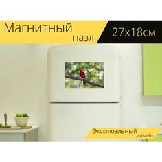 Магнитный пазл "Лето танагра, красный, птица" на холодильник 27 x 18 см. Lots Prints