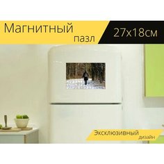 Магнитный пазл "Зима, снег, женщина" на холодильник 27 x 18 см. Lots Prints