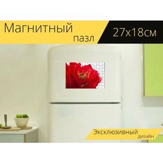 Магнитный пазл "Пятидесятница, пион, цветок" на холодильник 27 x 18 см. Lots Prints