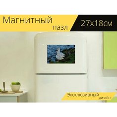 Магнитный пазл "Белые снежные гуси, трио, птицы" на холодильник 27 x 18 см. Lots Prints