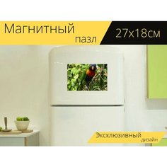 Магнитный пазл "Попугай, птица, перо" на холодильник 27 x 18 см. Lots Prints