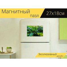 Магнитный пазл "Папоротник, листья папоротника, зеленый" на холодильник 27 x 18 см. Lots Prints