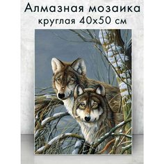 Алмазная мозаика (круг) "Пара волков" 40х50 см Colibri