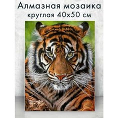 Алмазная мозаика (круглая) Грозный тигр 40х50 см Colibri