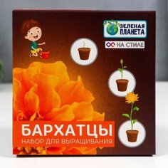 Набор для выращивания с глиняным горшочком (Бархатцы) Noname
