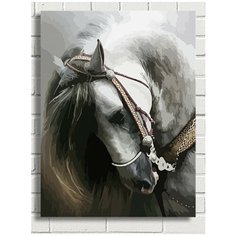 Картина по номерам на холсте Белая лошадь (абстракция) - 9047 В 30x40