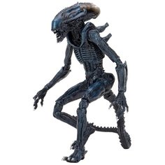 Фигурка Чужой реалистичный "Arachnoid" от Neca