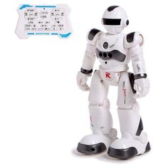 IQ BOT Робот-игрушка радиоуправляемый IQ BOT GRAVITONE, русское озвучивание, цвет серый
