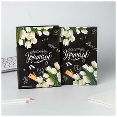 ArtFox Ежедневник в подарочной коробке "Классному учителю", 80 листов