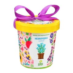 Набор для выращивания Happy Plant Горшок подарочный Незабудка голубая, 1 эксперимент