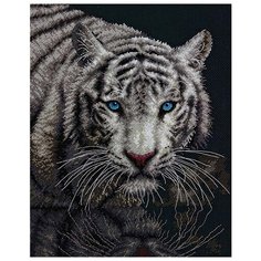 Dimensions Набор для вышивания В свете 28 x 35,6 см, 70-35289