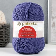 Пряжа "Секрет успеха" 100% шерсть 250м/100гр (484-Баклажан) 2515809 Пехорка
