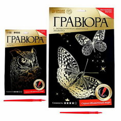 Набор гравюр "Сова и бабочки" Школа талантов