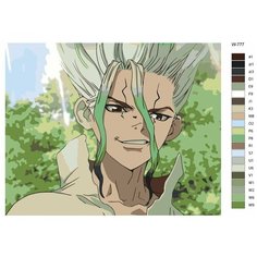 Картина по номерам W-777 Аниме доктор Стоун. Сенку Ишигами 70x90 Brushes Paints