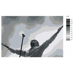 Картина по номерам X-789 "Рок-музыкант Честер Беннингтон Метеора" 70x110 Brushes Paints