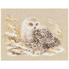 Риолис набор для вышивания Белая сова 45 x 35, 1241 разноцветный
