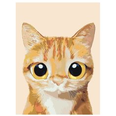 Картина по номерам, "Живопись по номерам", 30 x 40, A548, рыжий котёнок, большие глаза, животное, портрет, изолированный фон