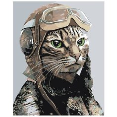 Картина по номерам, "Живопись по номерам", 60 x 75, A148, кот, лётчик, животное, полёт