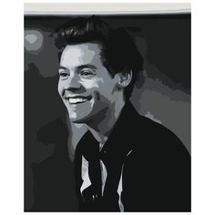 Картина по номерам "Harry Styles", 50x40 см