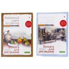 Альт Бумага для рисования А4, 20 листов "Профессиональная серия", блок 150 г/м2, гознак, микс