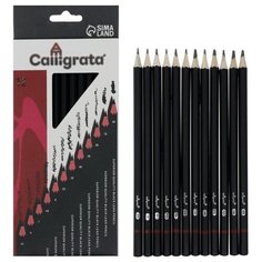 Calligrata Набор карандашей чернографитных, 12 штук, твёрдость 2Н - 8В, гранённые, заточенные, в картонной коробке