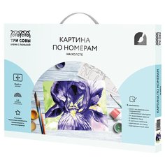 ТРИ СОВЫ картина по номерам Ирис, 30 х 40 см
