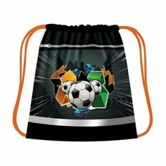 ТПК Пчелка Мешок для обуви с карманом 490 х 410 мм, со светоотражающей полосой, СДС-57 "Городской спорт"