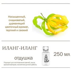 Иланг-иланг, отдушка для свечей и мыла (250 мл) Candle M