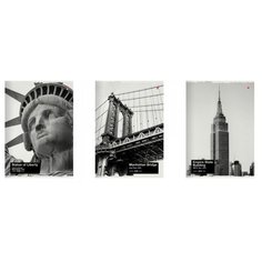 Тетрадь общая Альт, А4 (208 х 297 мм), "NYNY" 96 л, клетка, Арт. 7-96-1217, обложка в ассортименте