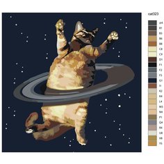 Картина по номерам, 72 x 72, TSKK-cat323, кот, космос, животные, "Живопись по номерам", набор для раскрашивания, раскраска