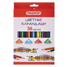 Карандаши цветные пифагор "Веселая такса" 36 цветов классические заточенные, 4 шт