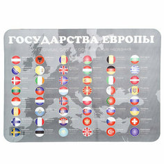 Накладка на стол пластиковая, А3, Обучающая, 430 х 320 мм, 400 мкм, «Флаги», НПД-2 Пчёлка