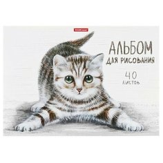 Альбом для рисования А4, 40 листов на клею Tabby, обложка мелованный картон 170 г/м2, жёсткая подложка, блок 120 г/м2, 1 шт. Erich Krause