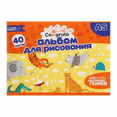 Альбом для рисования А5, 40 листов на скрепке обложка мелованная бумага 120 г/?2, внутренний блок офсет 100 г/?2 Calligrata