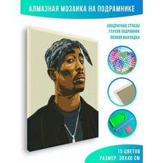 Алмазная мозаика на подрамнике - вышивка 2Pac 30 х 40 см Красиво Красим