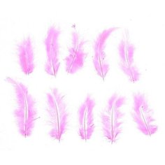 Набор перьев для декора 10 шт, размер 1 шт: 10 × 2 см, цвет розовый NO Name